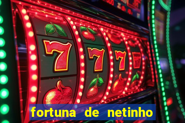 fortuna de netinho de paula